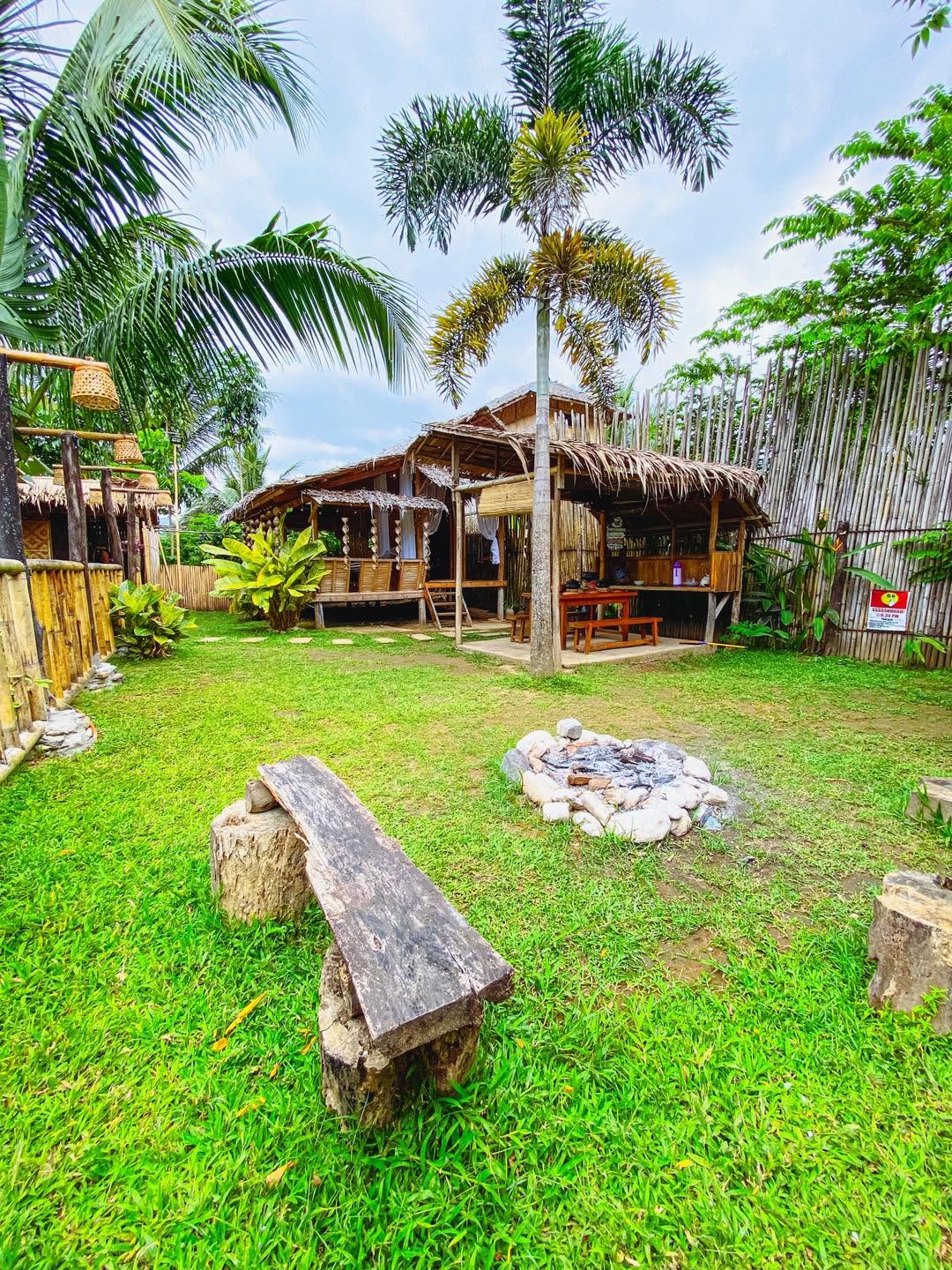 Bamboo grove at Camp Bughaw